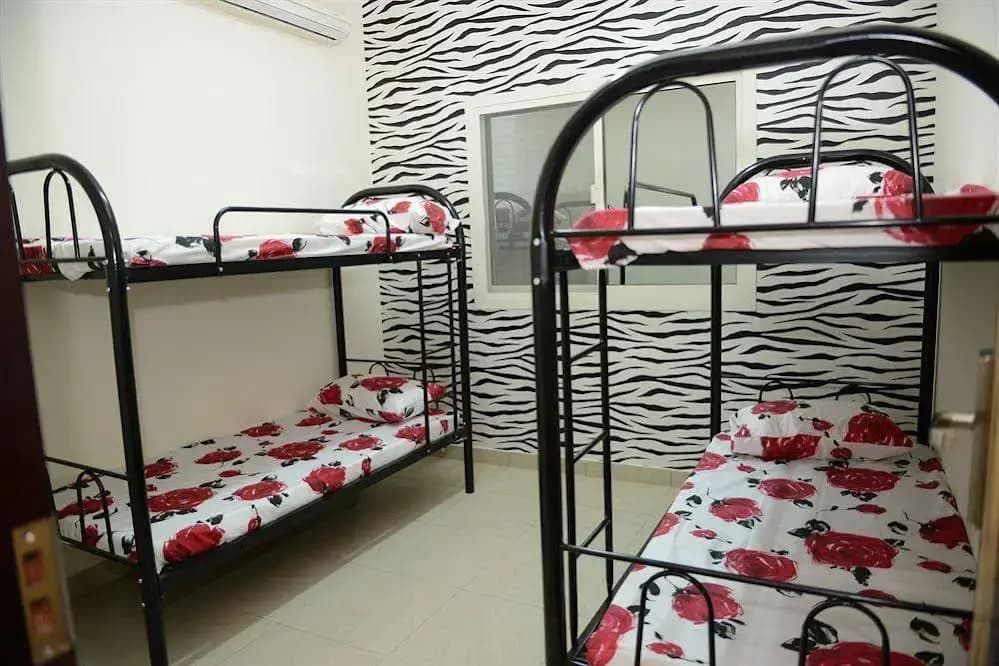 Camel Campus - photo 3