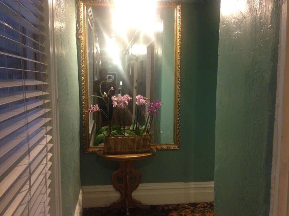 Luz Hotel - photo 13