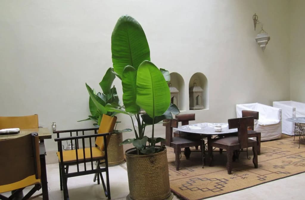 Riad La Cigale - photo 16