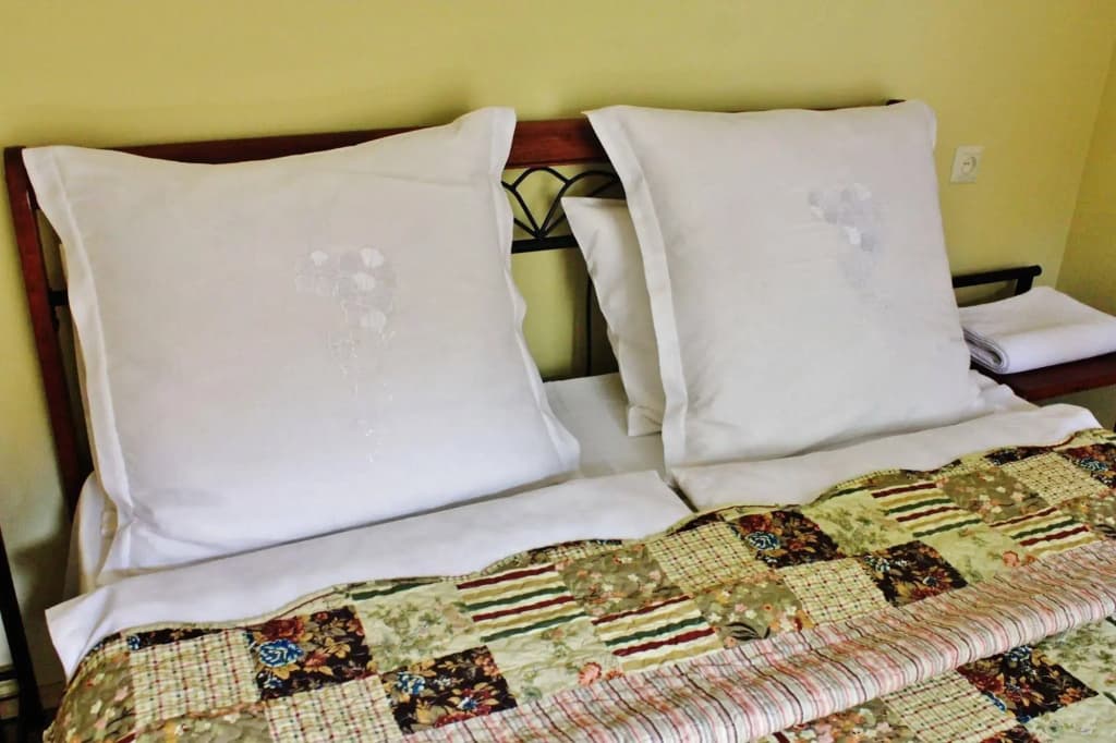 Red Fox Guesthouse - photo 2