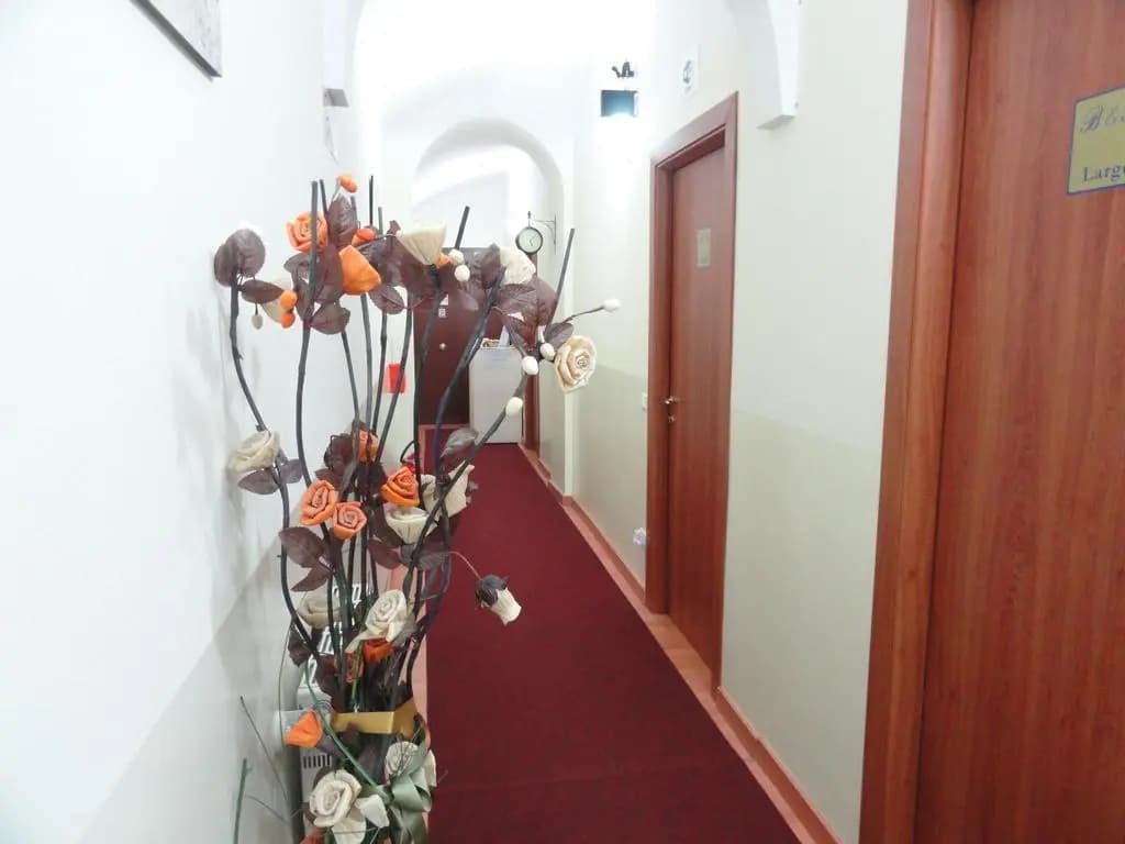 AngelicaHome BB - photo 13