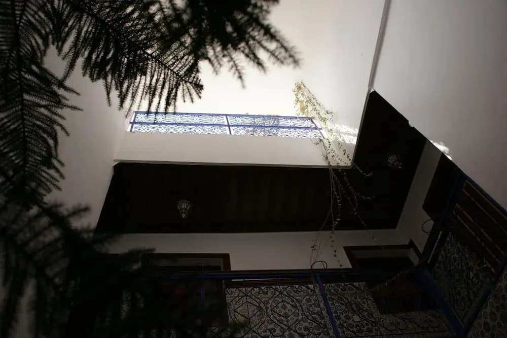 Riad Taddert - photo 12
