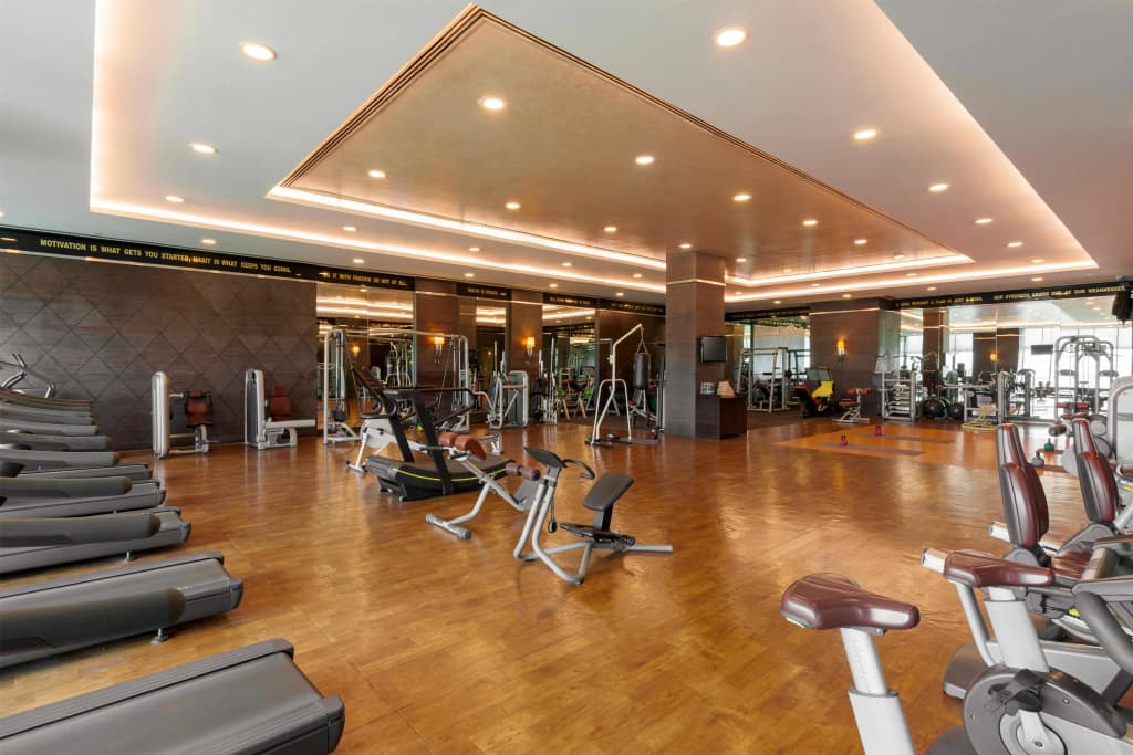 Radisson Blu Hotel New Delhi Paschim Vihar - photo 22