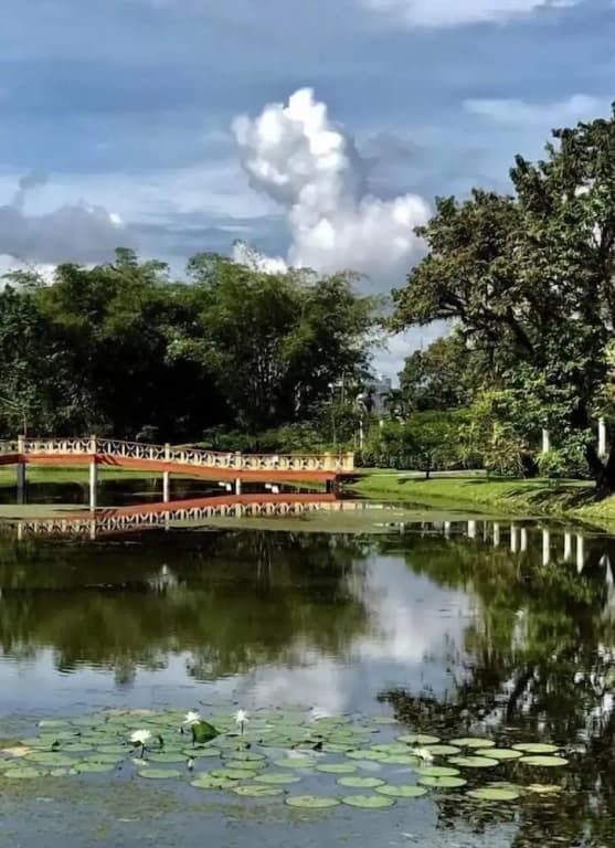 Taiping Homestay - photo 24