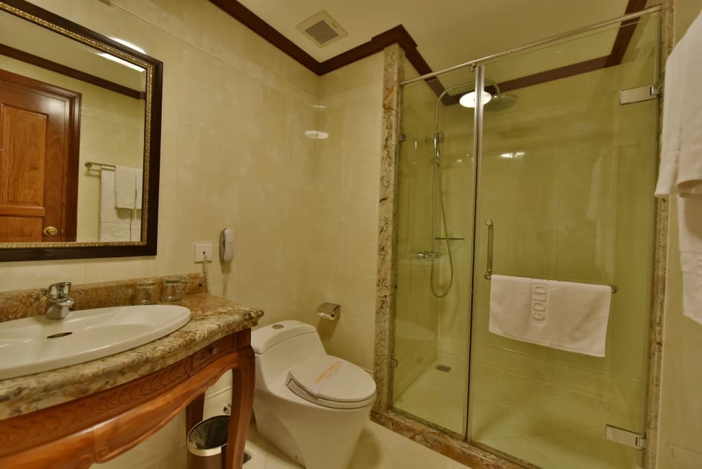 Minerva Premium Hotel - photo 10