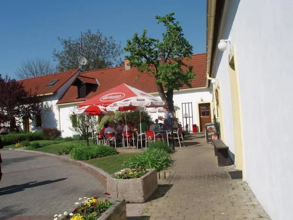 Cesky Statek - photo 16