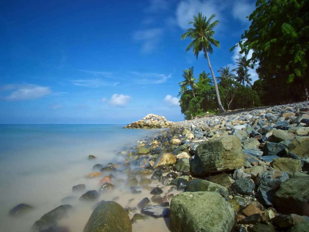 Tunamaya Beach & Spa Resort Tioman Island - photo 11