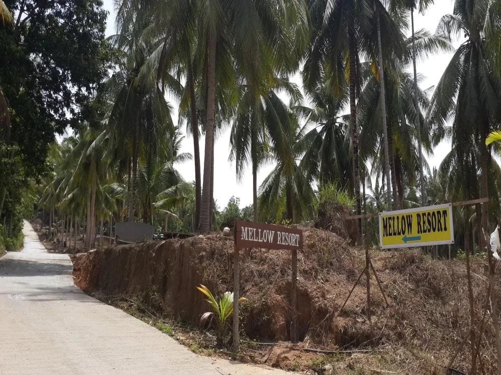 Mellow Resort - photo 10