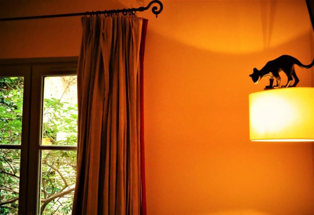 Le Relais Saint Sulpice - photo 18