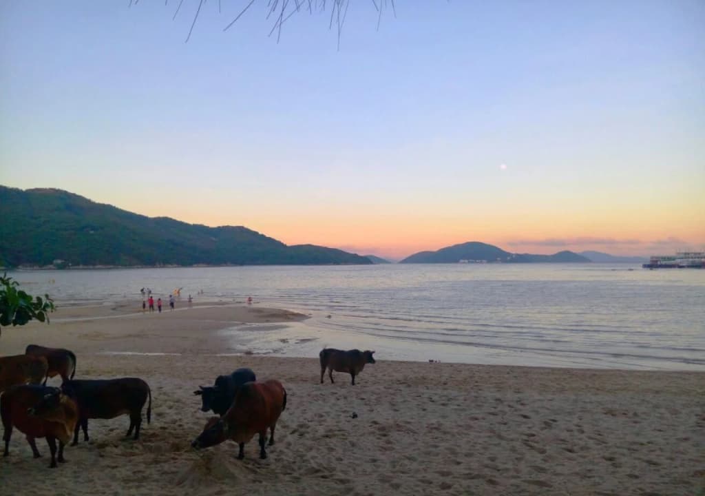 Silvermine Beach Resort - photo 24