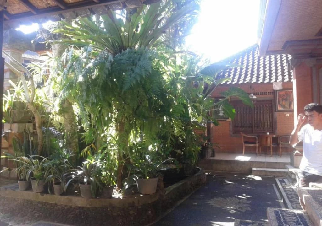 Raka House Accommodation - photo 17