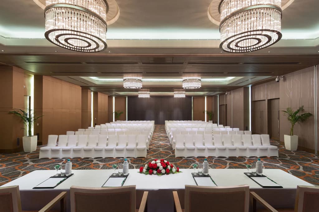 Holiday Inn New Delhi Aerocity by IHG - photo 15