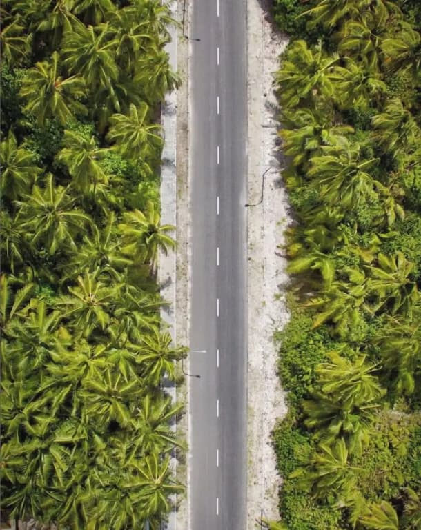 Suffix Retreat - Stay, Dive & Explore Fuvahmulah - photo 46