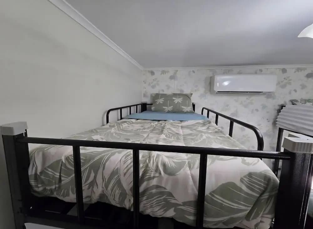 Bluetongue Hideout - photo 7