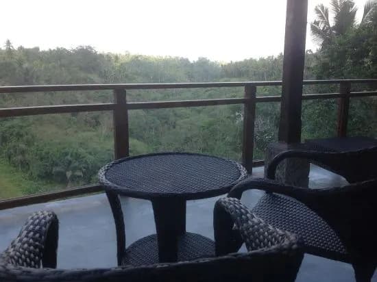 Bali Ubud Villa View - photo 5
