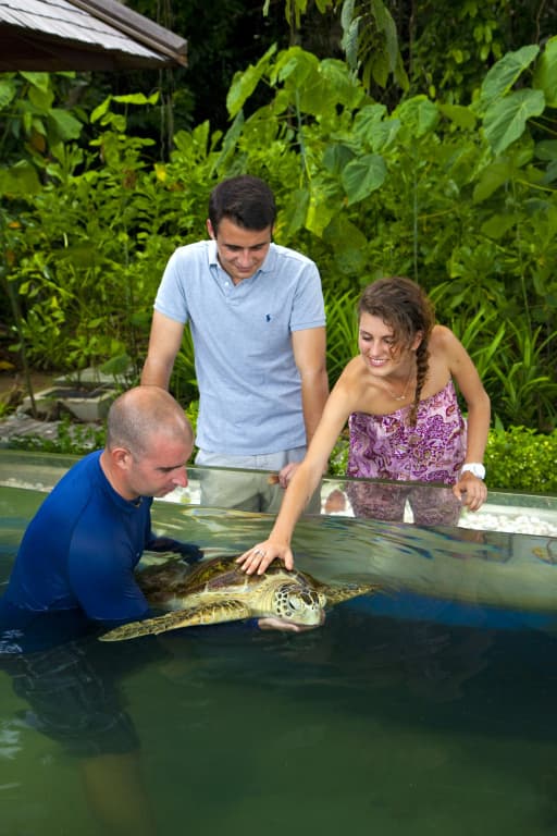 Gaya Island Resort - photo 43