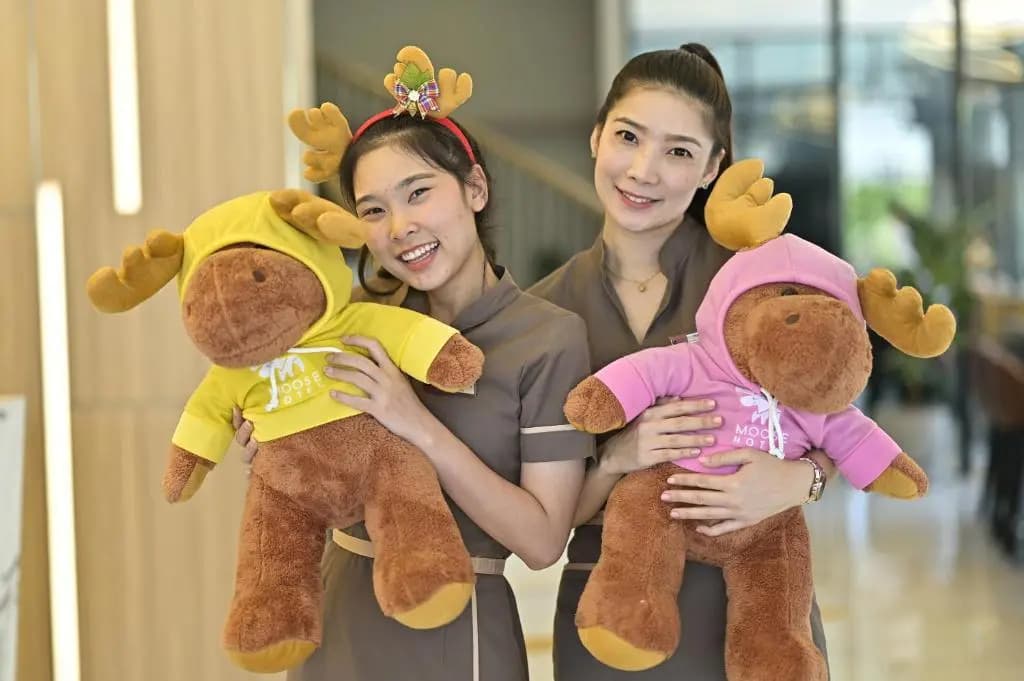 Moose Hotel Chiangmai - photo 23