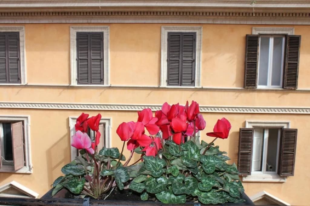 Hotel Garda - photo 1