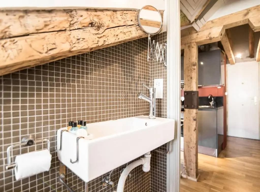 ATOCHA SKI PENTHOUSE STUDIO with views - photo 8