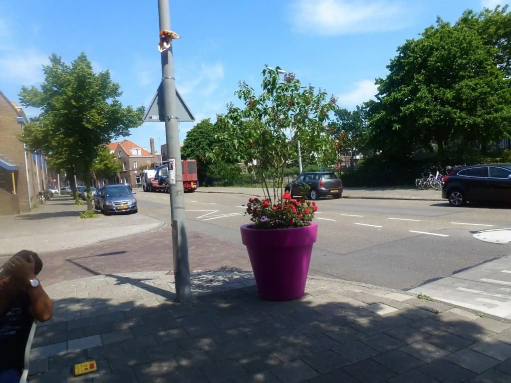 Hotel Isis - photo 21