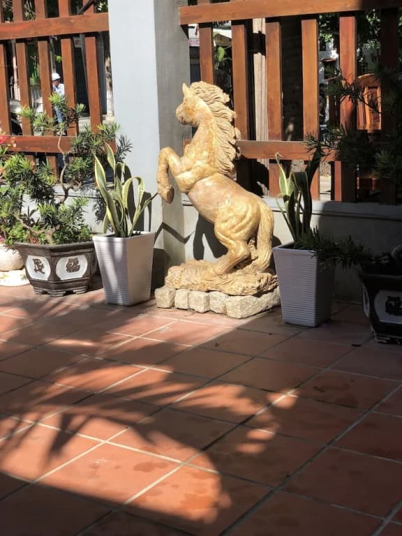 Three Palms Homestay - photo 15