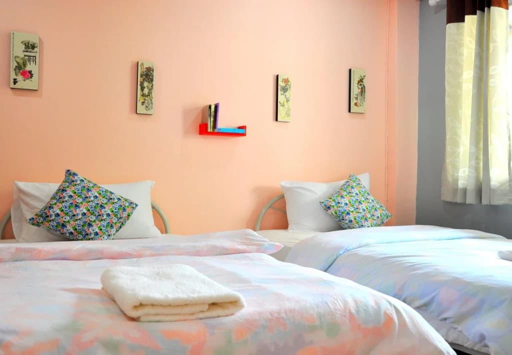 SS Backpackers Hotel - photo 3