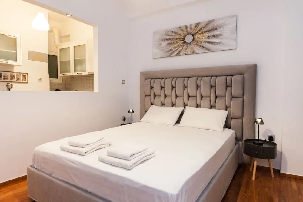 Vironas Chic Sleek Modern Studio - photo 4