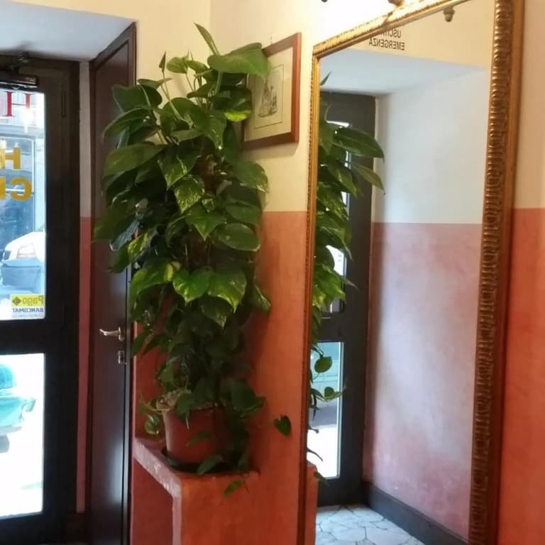 Hotel Chopin - photo 27