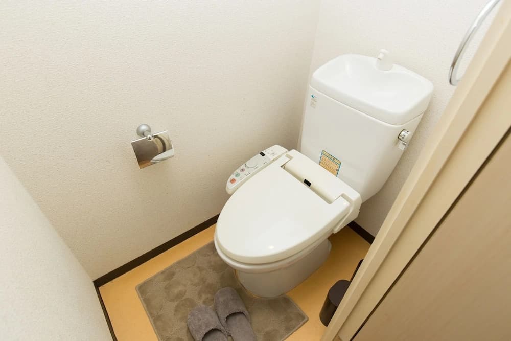 FUJISAKURA - photo 8