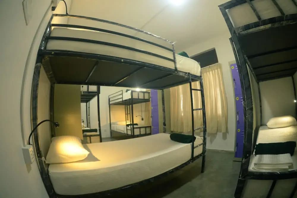 Groove House - photo 5