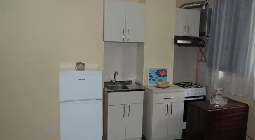 Guest House Dolidze - photo 10