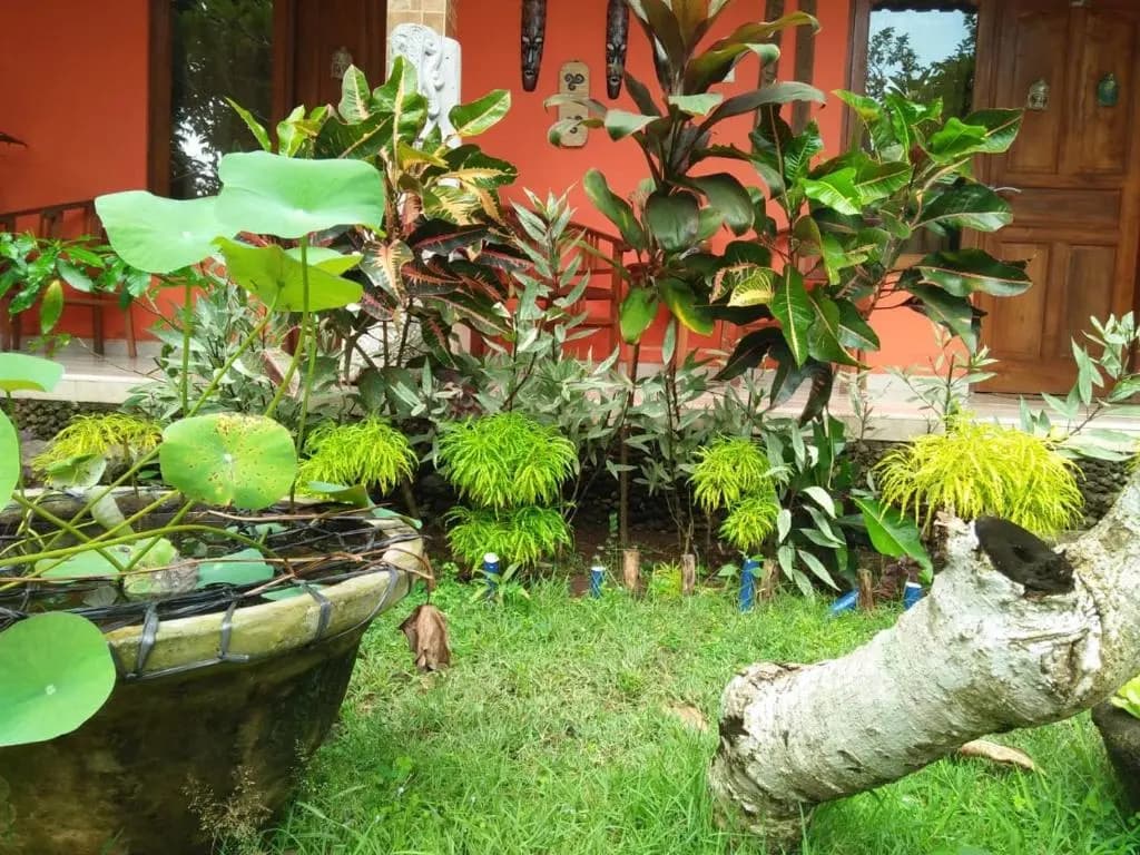 Made Roejas Homestay - photo 12