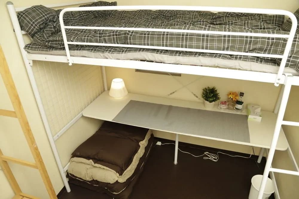 Raise House - photo 3
