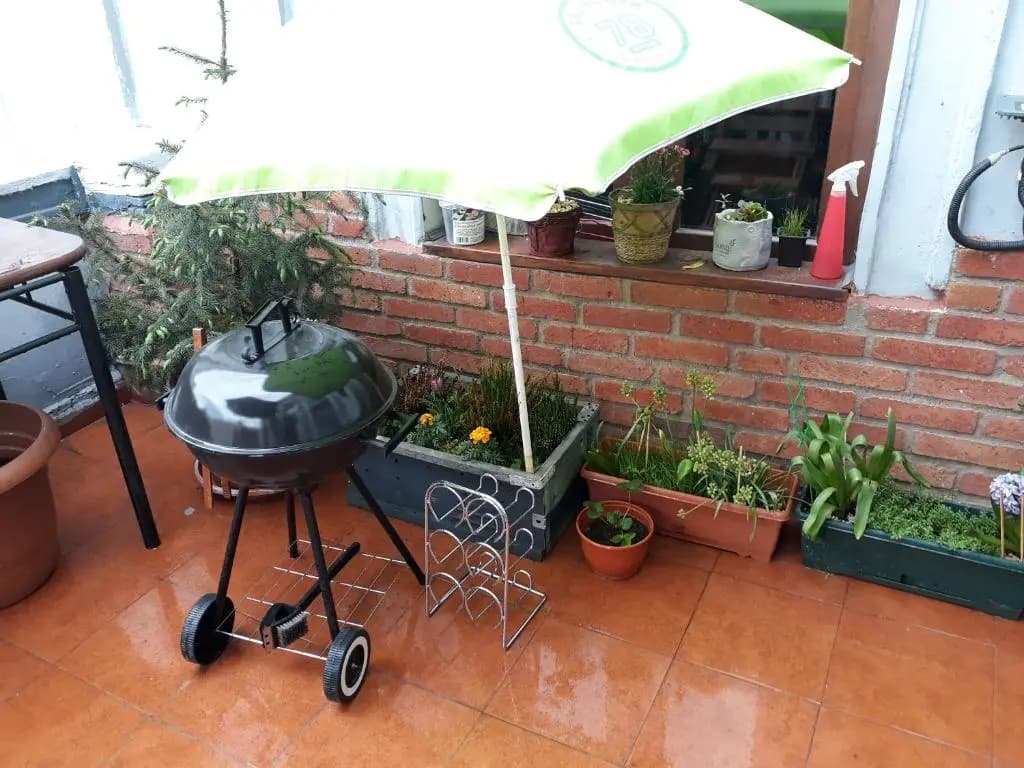 Salve veranda - photo 2