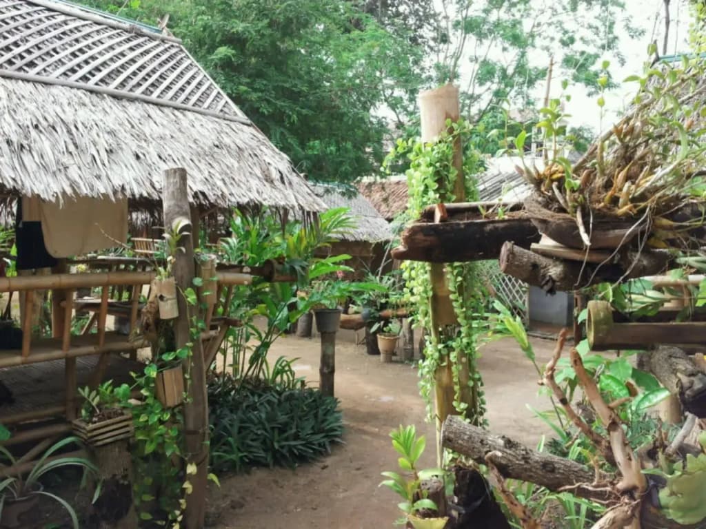Jackie Bamboo House - photo 14