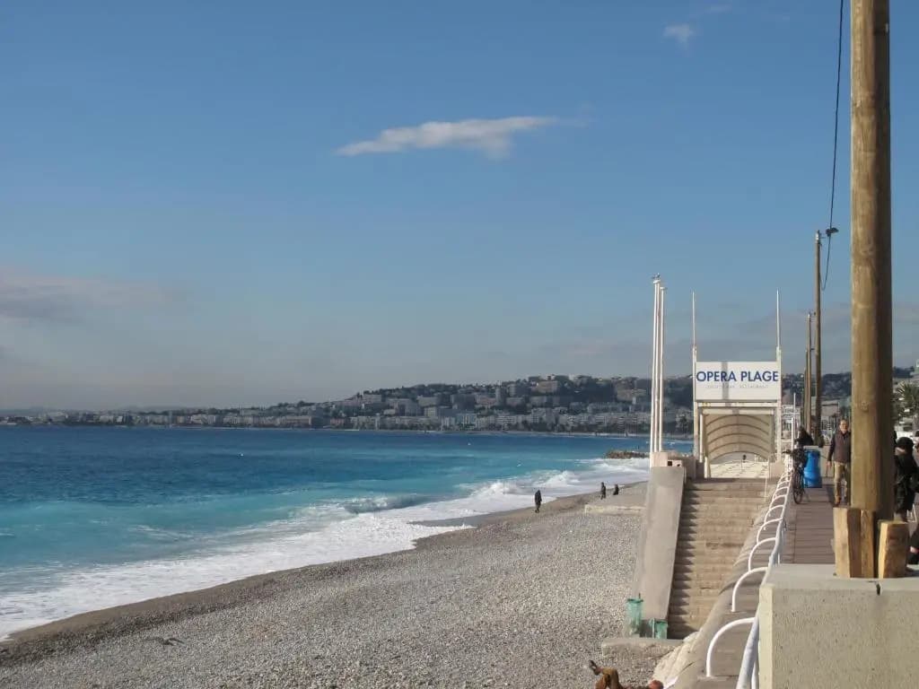 Mercure Nice Marche aux Fleurs - photo 8