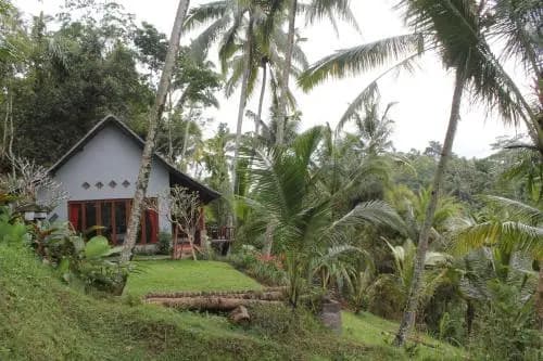 The Desa Ubud Villa - photo 44