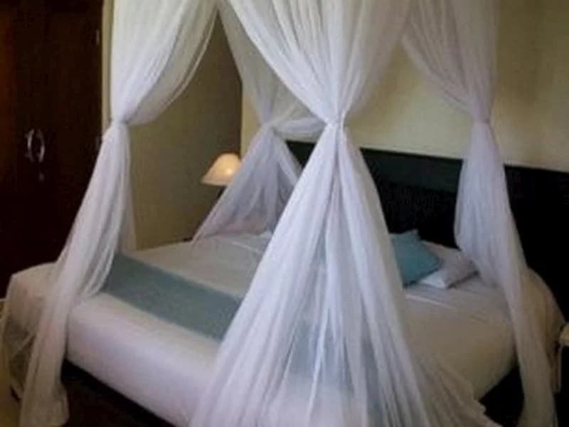 Mesui Home - photo 1
