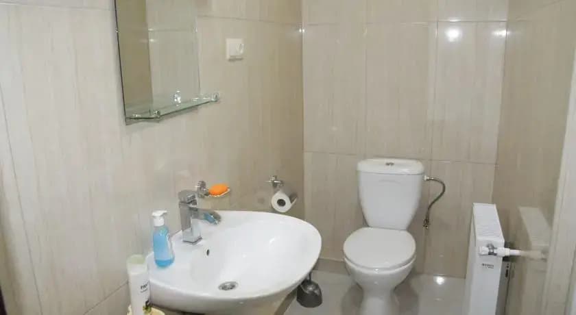 Friendly Guest House - photo 12