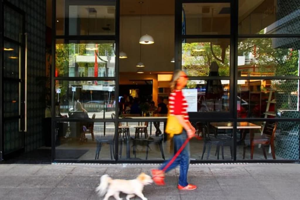 Novotel St Kilda - photo 29