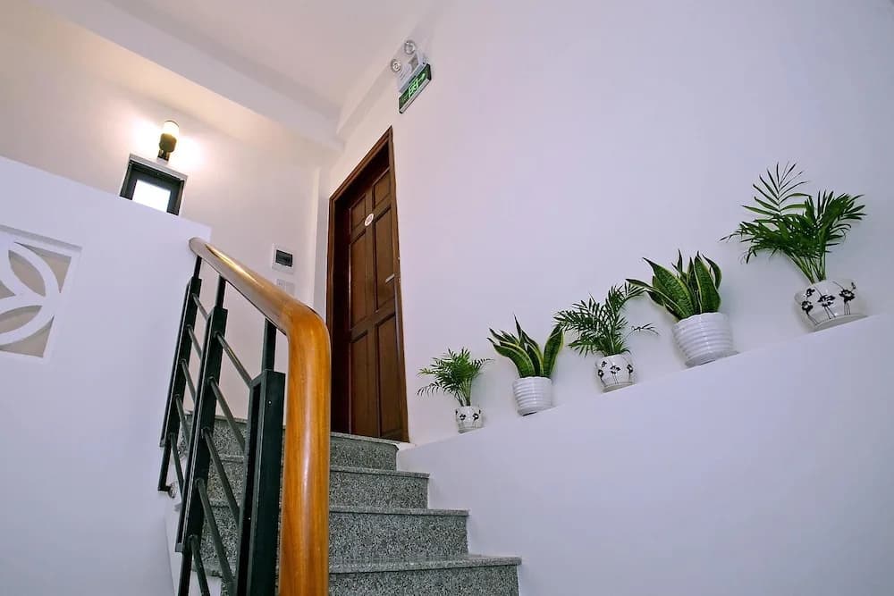 Focus Homestay - photo 9