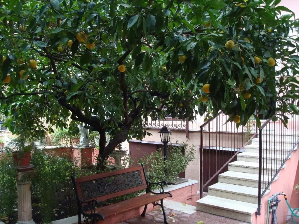 Gioia B&B - photo 5