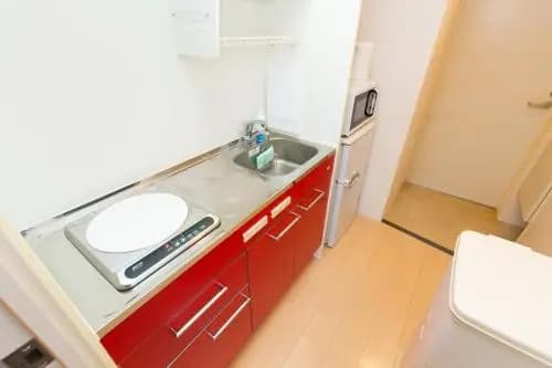 Serenite Namba-Nishi 1004 - photo 10