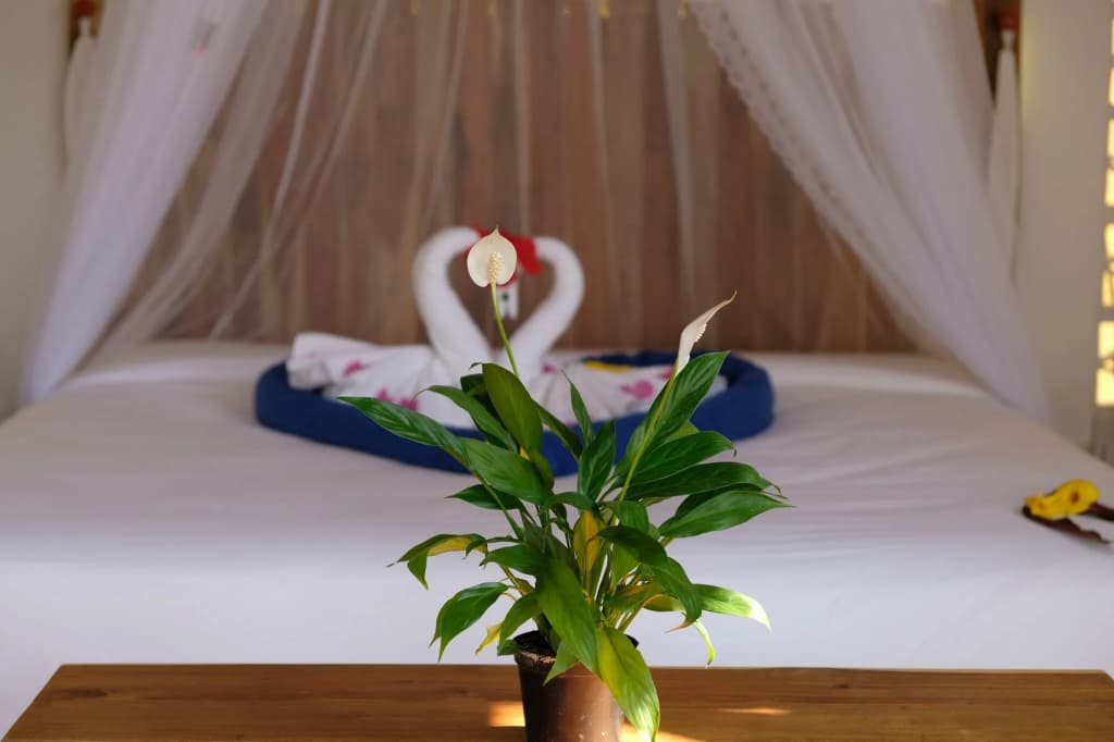 Phu Quoc EcoLodge - photo 2