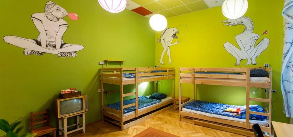 Big Fish Hostel - photo 3