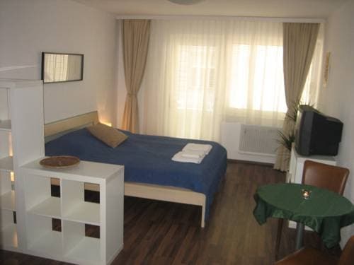 Vienna's Place Apartment Karlsplatz - photo 4