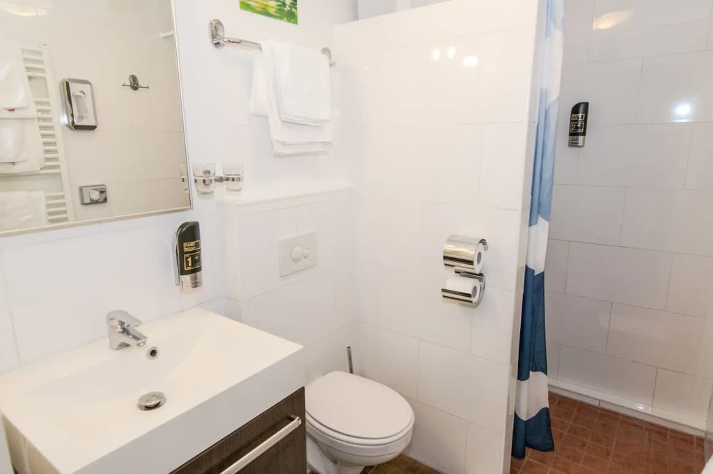 Hotel Alexander - photo 11