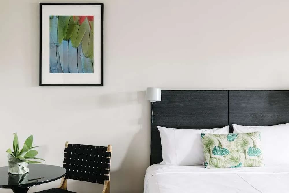 Veriu Randwick - photo 9
