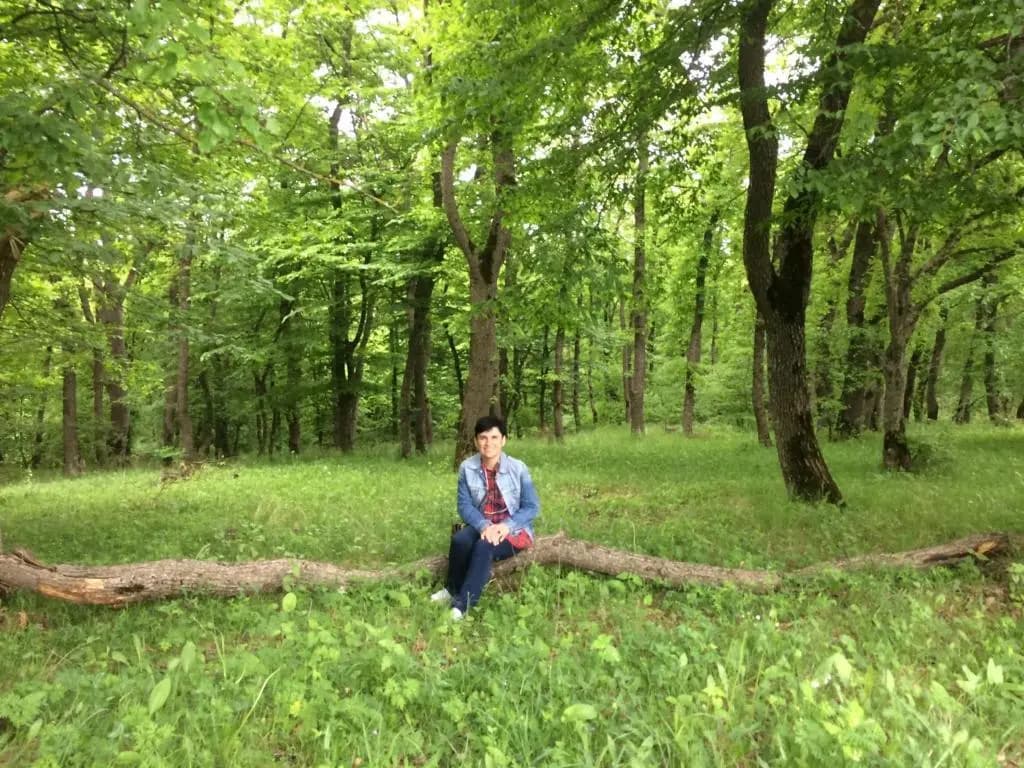 muxebshi - photo 5