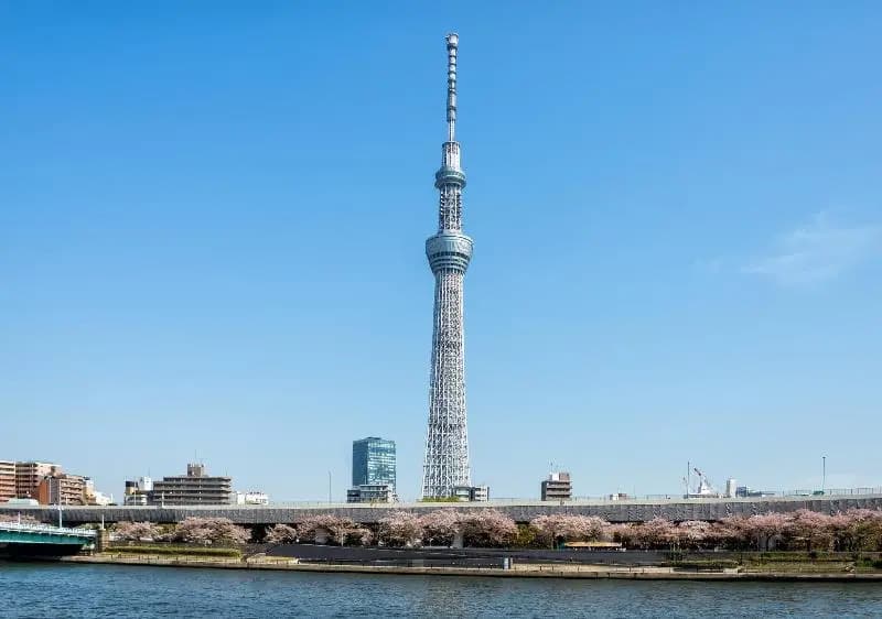 HOTEL LiVEMAX Asakusabashi-Eki Kitaguchi - photo 12